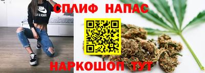 a pvp Аша