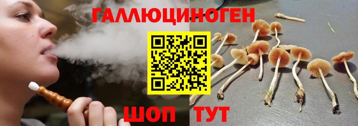 Бийск  Псилоцибиновые грибы Magic Shrooms  дарнет шоп  Вход с VPN 
